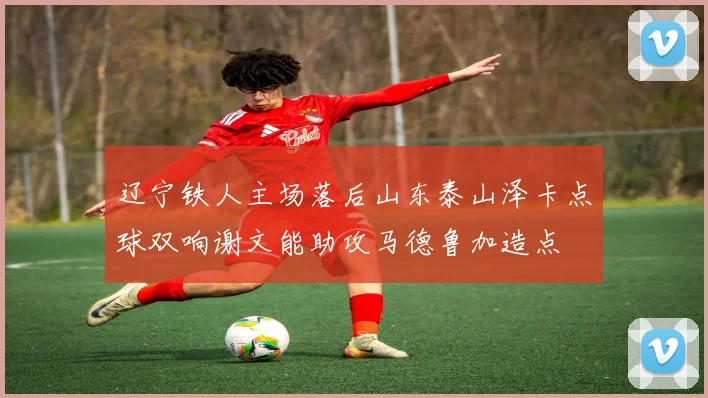 辽宁铁人主场落后山东泰山泽卡点球双响谢文能助攻马德鲁加造点